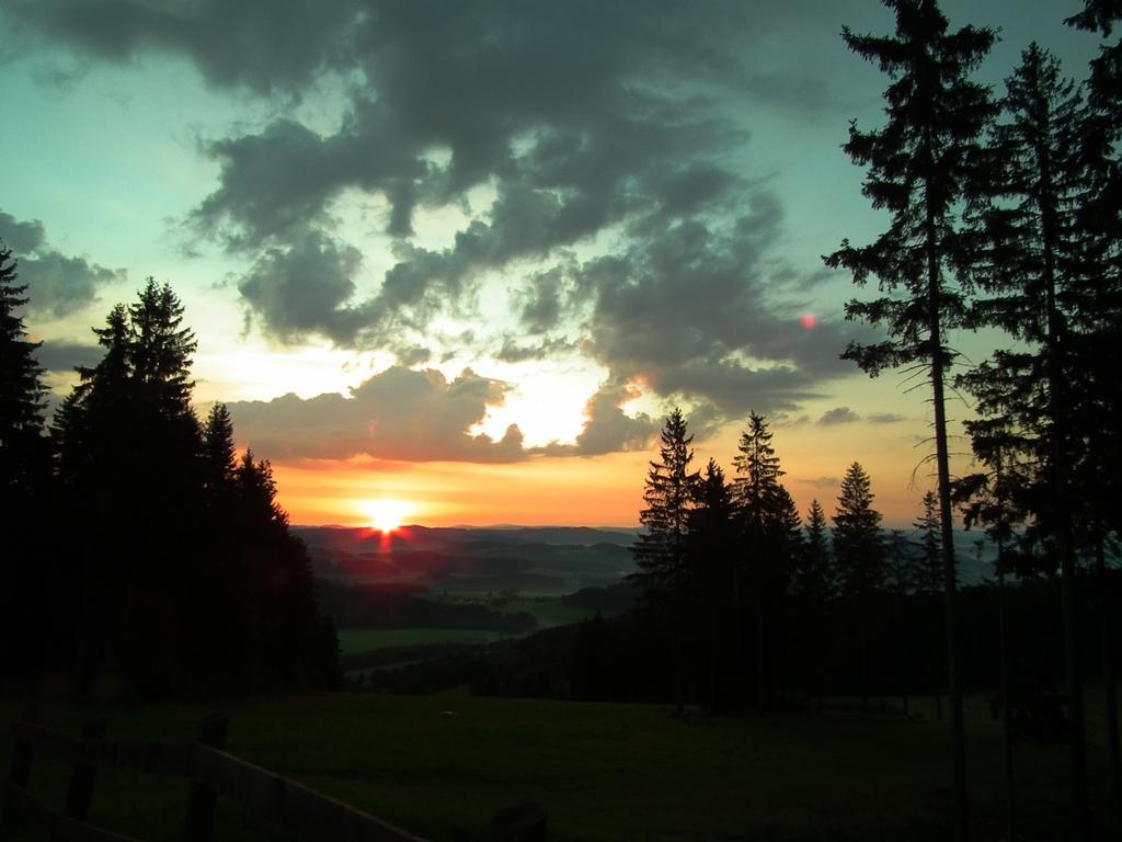 Apartman Lipanek Lipno nad Vltavou Exteriör bild